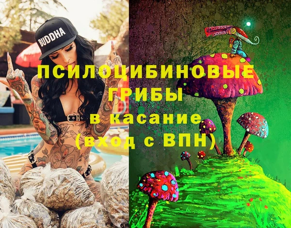 дмт Протвино