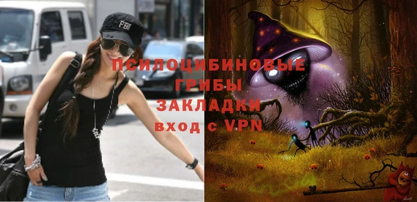 гашик Абинск